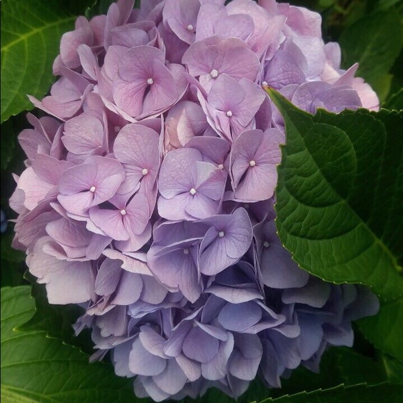 Meet your Posher, Caitlin - Picture 1 of 2